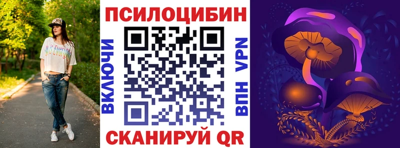 Галлюциногенные грибы Psilocybe  Саров 